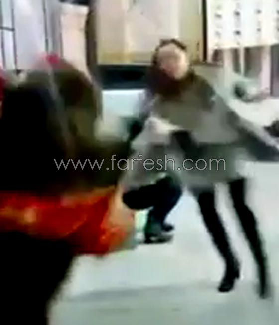 فيديو صادم: دب شرس يهاجم إمرأة بعنف خلال بث مباشر صورة رقم 4