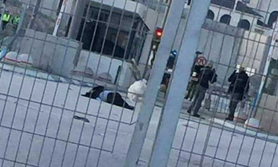  الجيش الاسرائيلي يطلق النار على فتاة فلسطينية على حاجز قلنديا صورة رقم 1