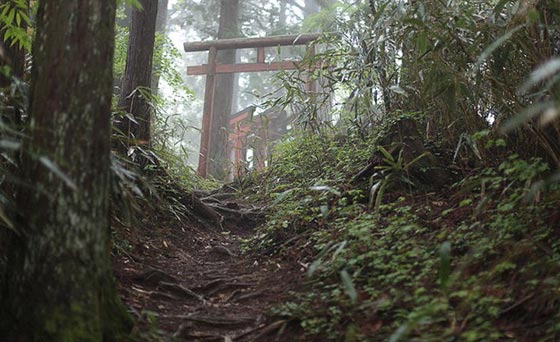 هذه الديانة اقتصرت على الرجال وحرّمت على النساء مدة الف عام! صورة رقم 2