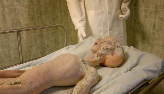 اجانب يدافعون عن حضارة الفراعنة وينصفون رائد فضائهم.. فيديو وصور  صورة رقم 2