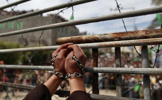 معتقلون يردون على التنكيل الاسرائيلي بهم بالاضراب عن الطعام صورة رقم 4 معتقلون يردون على التنكيل الاسرائيلي بهم بالاضراب عن الطعام صورة رقم 4