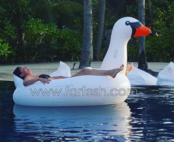   صور غادة عبد الرازق ترتدي بكيني وتتجاهل شائعة قيامها بعملية تجميل! صورة رقم 1