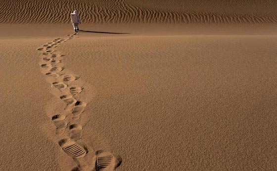 صور سيلفي مجنونة على سطح الكوكب الاحمر صورة رقم 8
