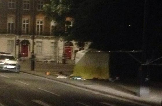 مضطرب عقليا يطعن امراة حتى الموت ويصيب اخرين في قلب لندن صورة رقم 5