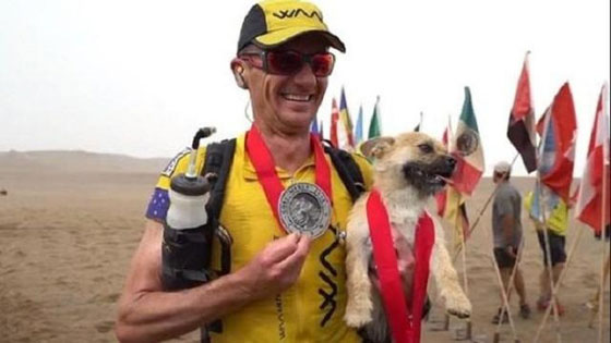  لم شمل عداء بريطاني مع كلب ضال رافقه لمسافة 125 كيلومترا صورة رقم 4