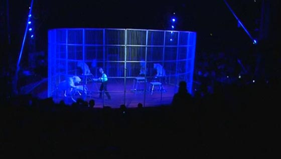 ابطال سيرك فيغاس يتحدون الموت في الاردن صورة رقم 2