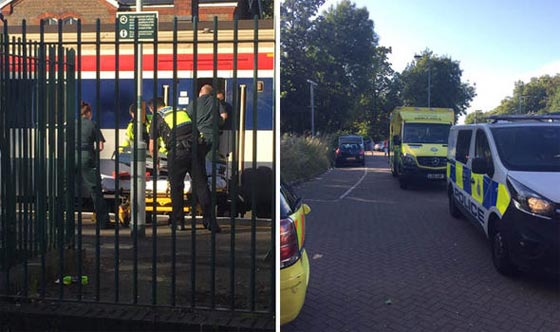 اطل برأسه من نافذة القطار فقتله قطار سار على السكة المعاكسة صورة رقم 1