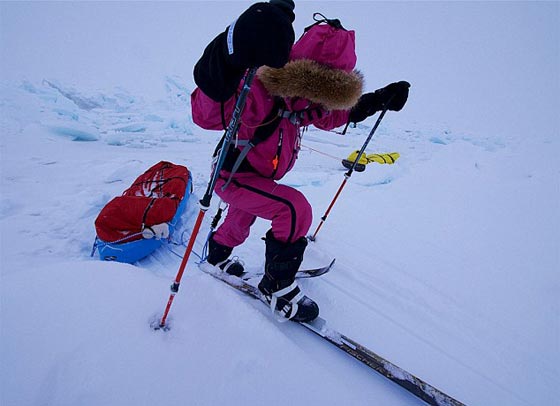صور اصغر فتاة مغامرة تصل الى القطب الشمالي    صورة رقم 2
