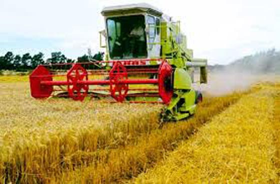 فرنسا: مصرع طفل امام عيني والده على يدي حصادة مجنونة صورة رقم 1