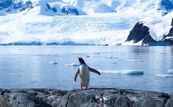 الارض تقترب اكثر فاكثر من الاحتباس الحراري.. هكذا ستبدو بعد قرن صورة رقم 2