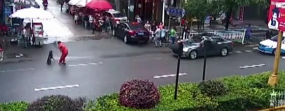 لقطات لكلب مسعور يهاجم المارة بشراسة جنونية صورة رقم 2