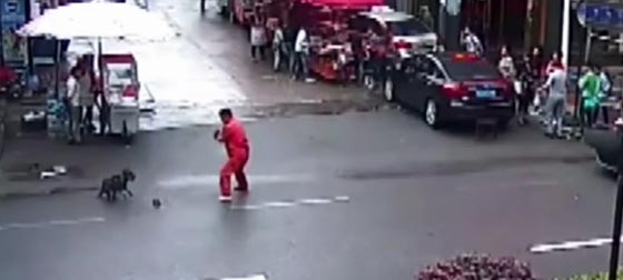 لقطات لكلب مسعور يهاجم المارة بشراسة جنونية صورة رقم 1