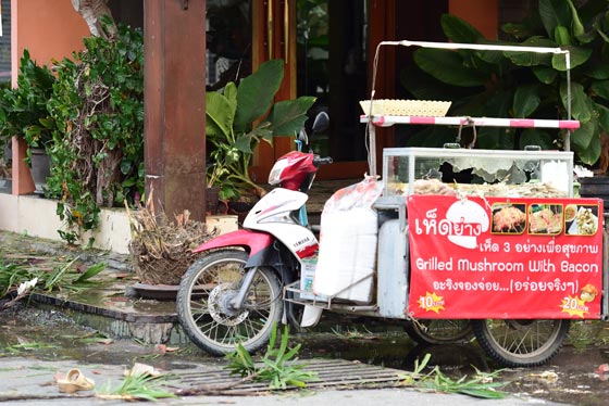  التفجيرات تصل الى تايلند وتشل عصبها السياحي ومقتل 4 اشخاص صورة رقم 10