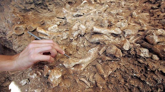  علماء آثار يعثرون على كنز دفين في مقبر بجزيرة قبرص صورة رقم 2