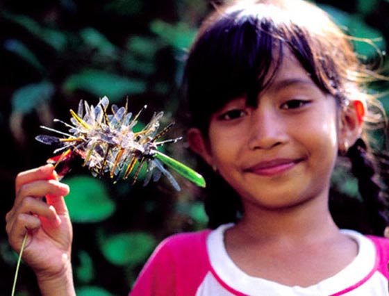 الغذاء المفضل لدى ابنائك وأحفادك سيكون... الحشرات! صورة رقم 3