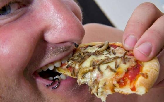 الغذاء المفضل لدى ابنائك وأحفادك سيكون... الحشرات! صورة رقم 1