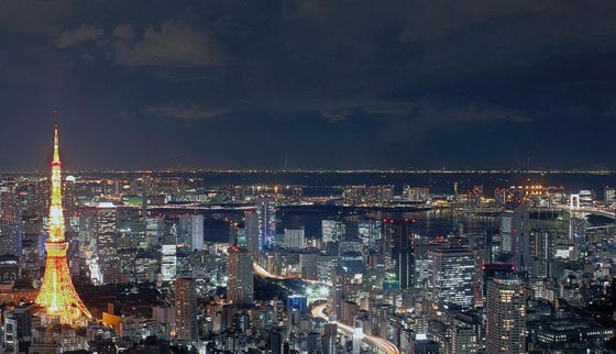 طوكيو، سحرها بانها الاكثر اكتظاظا في العالم وسرّها في النشطاء والمدونين صورة رقم 2