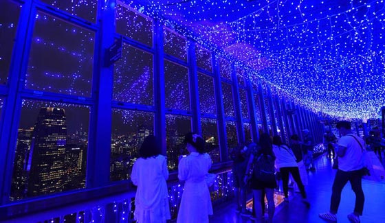 طوكيو، سحرها بانها الاكثر اكتظاظا في العالم وسرّها في النشطاء والمدونين صورة رقم 3