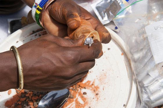 طريقة مبتدعة لمنع الافيال من التجول في مناطق مأهولة صورة رقم 5