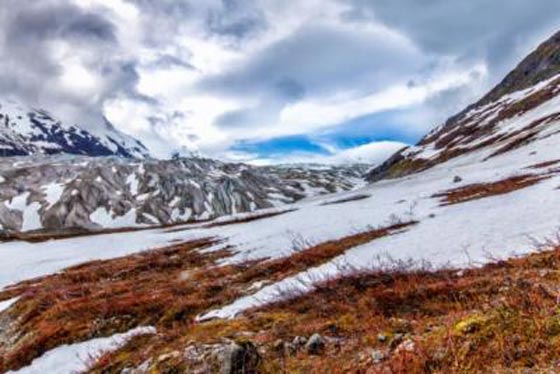 استيقاظ فيروسات خبيثة بعد ذوبان الثلوج في روسيا صورة رقم 1