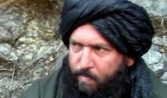 الدواعش عامان من الهزائم.. وهؤلاء هم اشهر قتلاهم صورة رقم 7