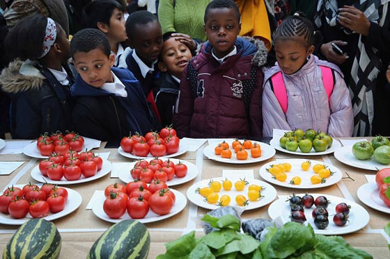 قانون يعاقب الوالدين اذا اجبروا اولادهم على نظام غذائي غير صحي صورة رقم 1