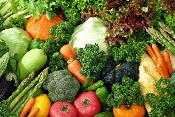 قانون يعاقب الوالدين اذا اجبروا اولادهم على نظام غذائي غير صحي صورة رقم 2