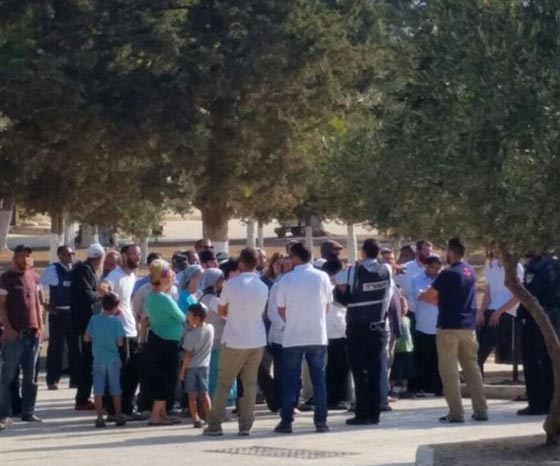 عصابات الاستيطان وضعت خطة لهدم الاقصى وبناء الهيكل على انقاضه صورة رقم 3