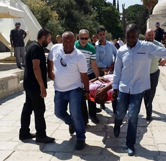 عصابات الاستيطان وضعت خطة لهدم الاقصى وبناء الهيكل على انقاضه صورة رقم 5