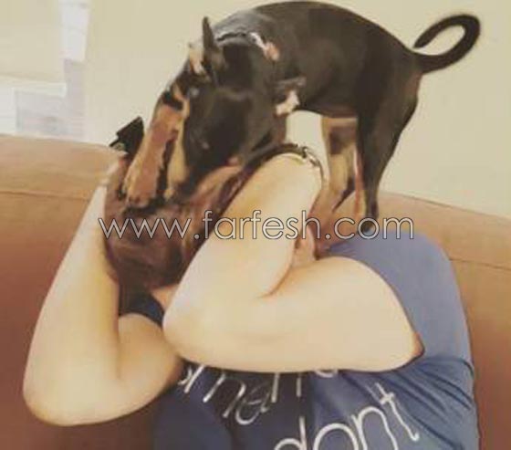 كلبة اليسا الجديدة تشن هجوما مجنونا عليها.. شاهدها صورة رقم 1