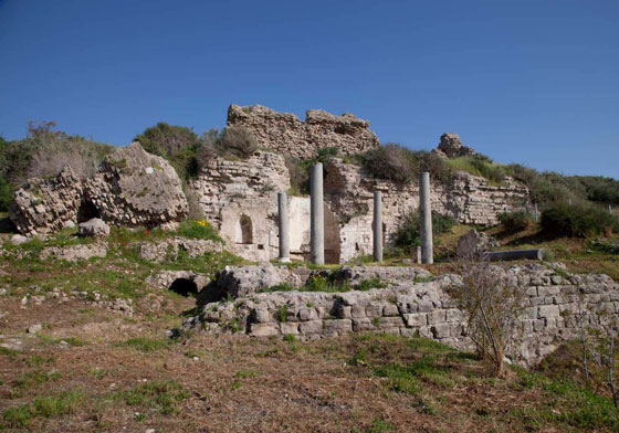  مقبرة للفلسطينيين القدماء في عسقلان الاسرائيلية تكشف اصل الحكاية! صورة رقم 4
