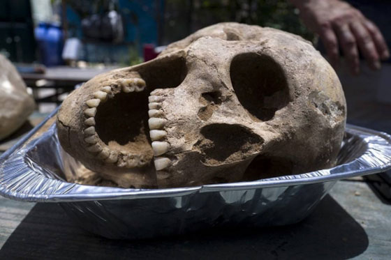  مقبرة للفلسطينيين القدماء في عسقلان الاسرائيلية تكشف اصل الحكاية! صورة رقم 11