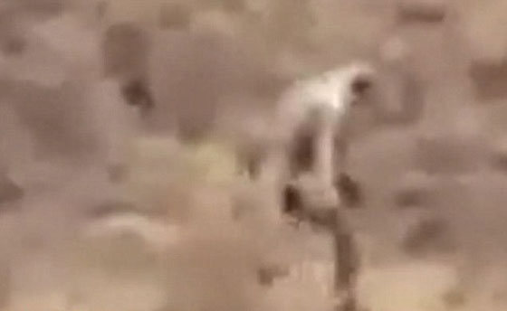 فيديو مثير.. مخلوق اسطوري غريب يظهر في صحراء البرتغال صورة رقم 4