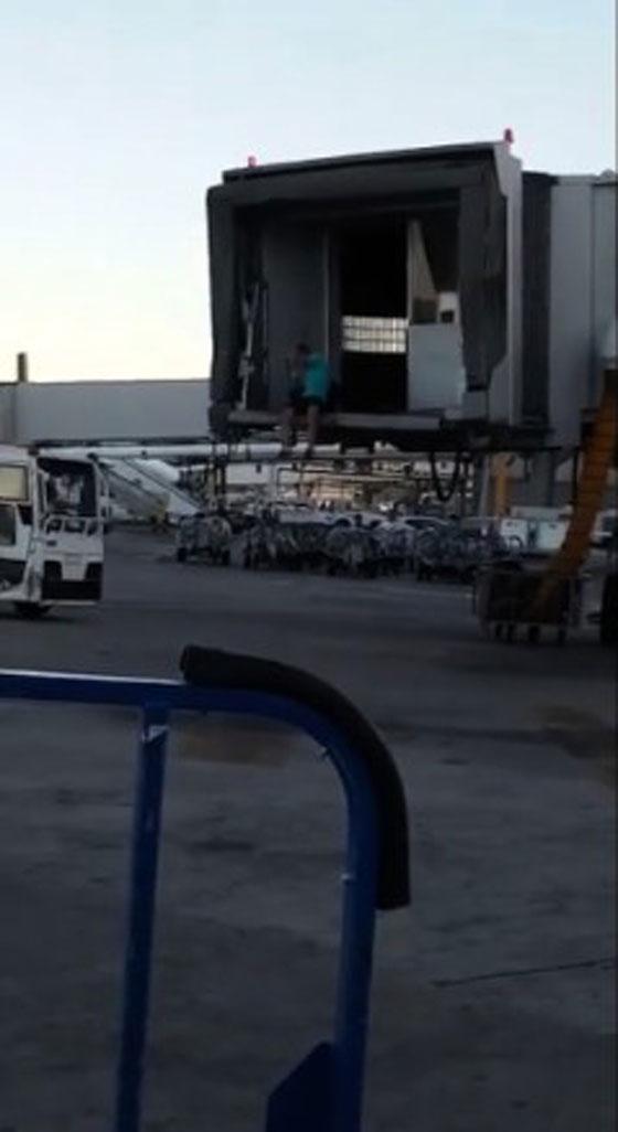 فيديو وصور.. مسافر يلاحق طائرة على مدرج المطار بعد ان فاته موعدها صورة رقم 10