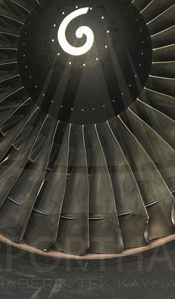 طائرة قطرية تهبط اضطراريا في اسطنبول بعد اصطدامها بطائر صورة رقم 9