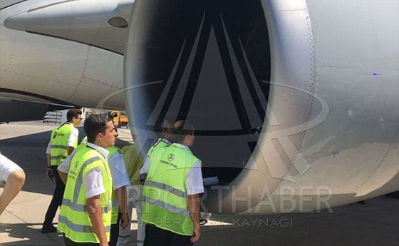 طائرة قطرية تهبط اضطراريا في اسطنبول بعد اصطدامها بطائر صورة رقم 10