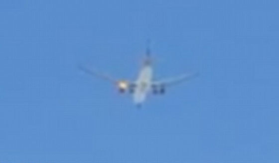 طائرة قطرية تهبط اضطراريا في اسطنبول بعد اصطدامها بطائر صورة رقم 2