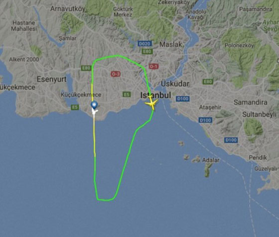 طائرة قطرية تهبط اضطراريا في اسطنبول بعد اصطدامها بطائر صورة رقم 7