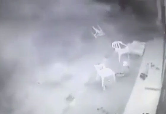 فيديو مروع.. جنود الاحتلال الهمجيون يلقون قنبلة على شبان فلسطينيين صورة رقم 7