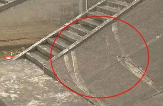  فتاة ترتكب خطأ اثناء تعلم القيادة فتقتل نفسها ووالدها وصديقها.. فيديو صورة رقم 5