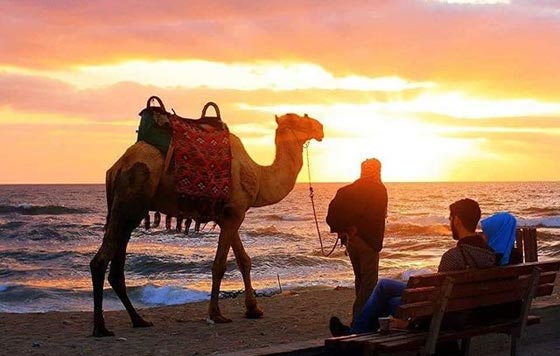 صور شباب القطاع يباغتون غزة وشواطئها بهواتفهم الجوالة صورة رقم 2