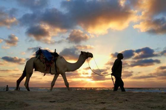 صور شباب القطاع يباغتون غزة وشواطئها بهواتفهم الجوالة صورة رقم 5