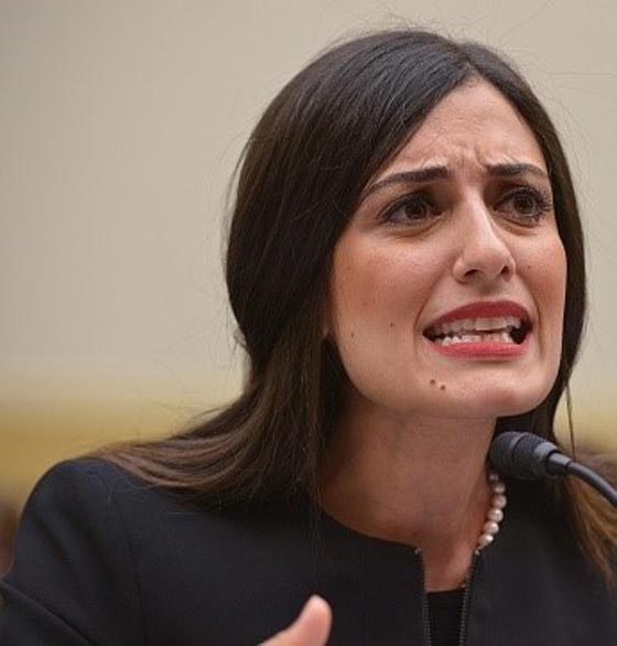 محامية مصرية تجوب العالم لاطلاعه على معانيات ضحايا الدواعش صورة رقم 1