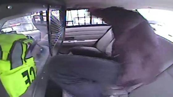 مشتبه ثمل يطير من سيارة الشرطة.. شاهده صورة رقم 4