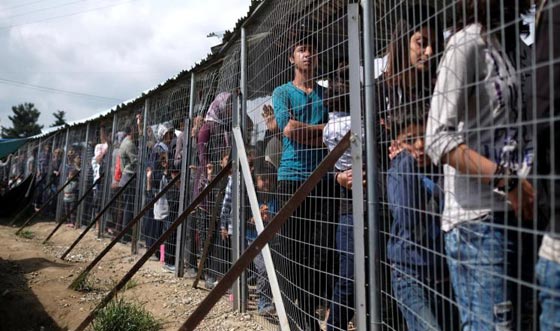 اللاجئون فريسة مثالية للاستغلال من عصابات المافيا في الفجور والمخدرات صورة رقم 1