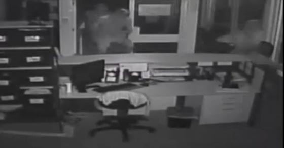  فيديو مثير.. 4 شبان يقتحمون مدرسة بواسطة التماسيح! شاهد صورة رقم 1