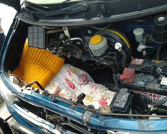 اغرب طريقة للتسلل.. افغاني يتعلق باسفل شاحنة ايطالية منطلقة صورة رقم 1