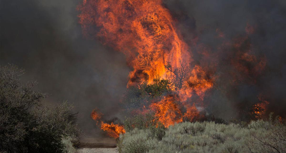 غضب الطبيعة يغرق العالم بالحرائق والفيضانات.. معلومات هامة صورة رقم 9