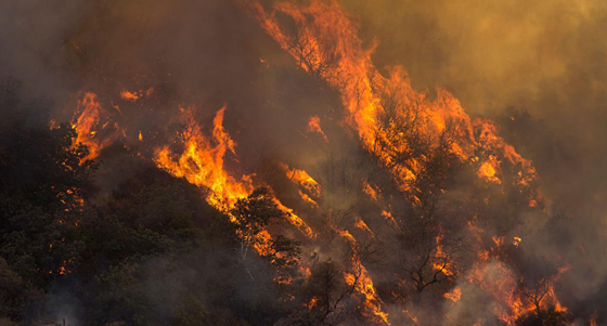 غضب الطبيعة يغرق العالم بالحرائق والفيضانات.. معلومات هامة صورة رقم 10