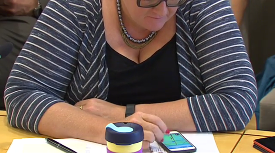 بوكيمون جو يثير ضجة نقدية خلال جلسة برلمانية صورة رقم 3